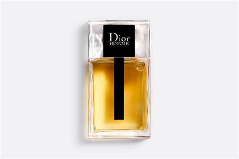 dior homme com